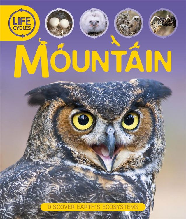 Produktbild: Lifecyles Mountain