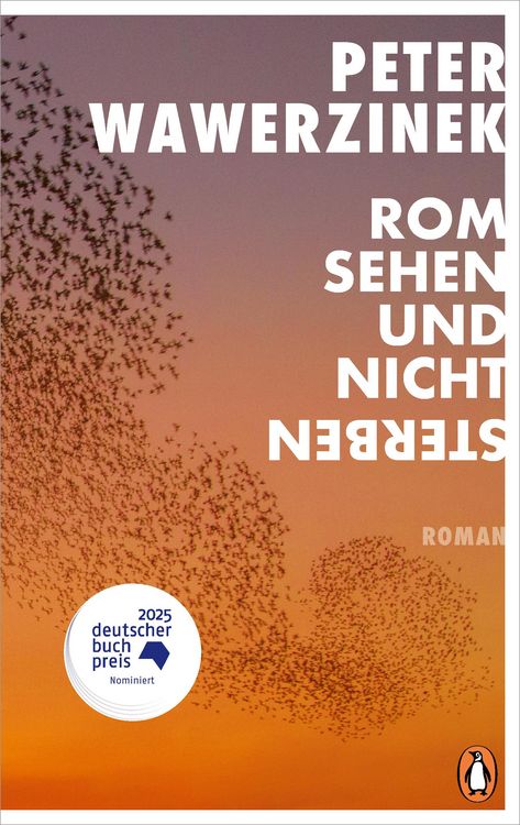 Produktbild: Rom sehen und nicht sterben