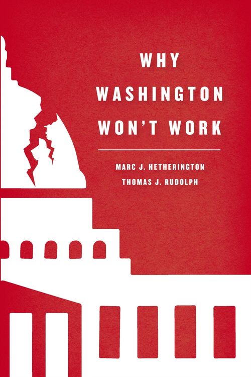 Produktbild: Why Washington Won't Work