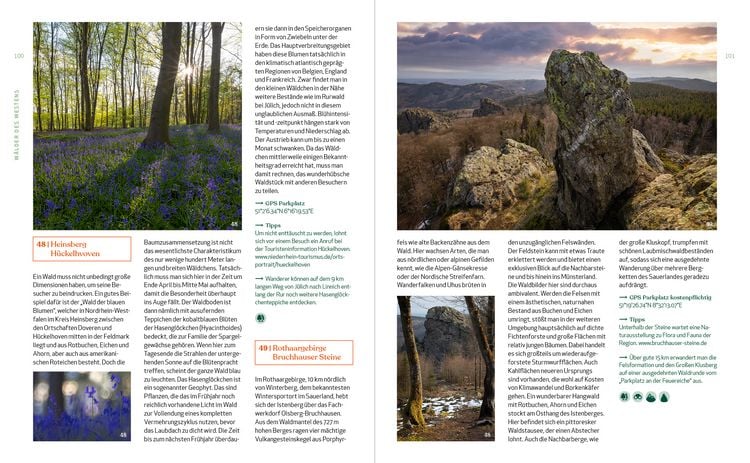 Produktbild: Wild Guide Deutsche W&auml;lder