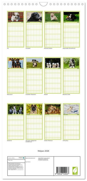 Produktbild: Familienplaner 2026 - Welpen 2026 mit 5 Spalten (Wandkalender, 21 x 45 cm) CALVENDO