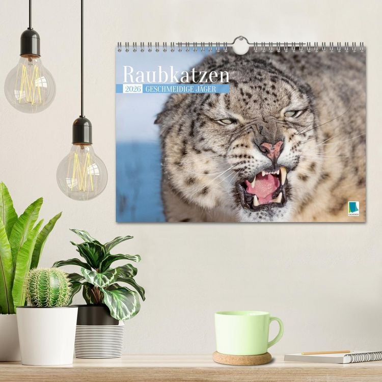 Produktbild: Raubkatzen: Geschmeidige J&auml;ger (Wandkalender 2026 DIN A4 quer), CALVENDO Monatskalender
