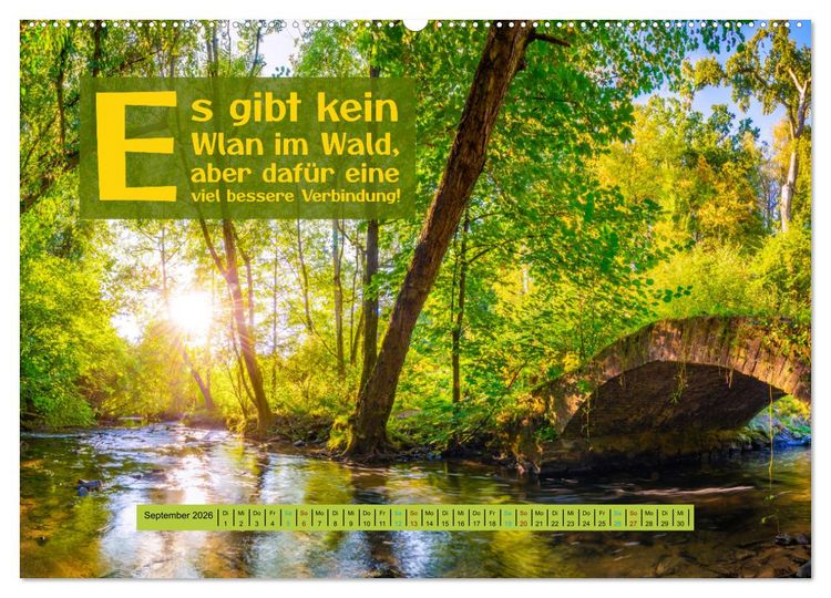 Produktbild: WALD Erholung pur (hochwertiger Premium Wandkalender 2026 DIN A2 quer), Kunstdruck in Hochglanz
