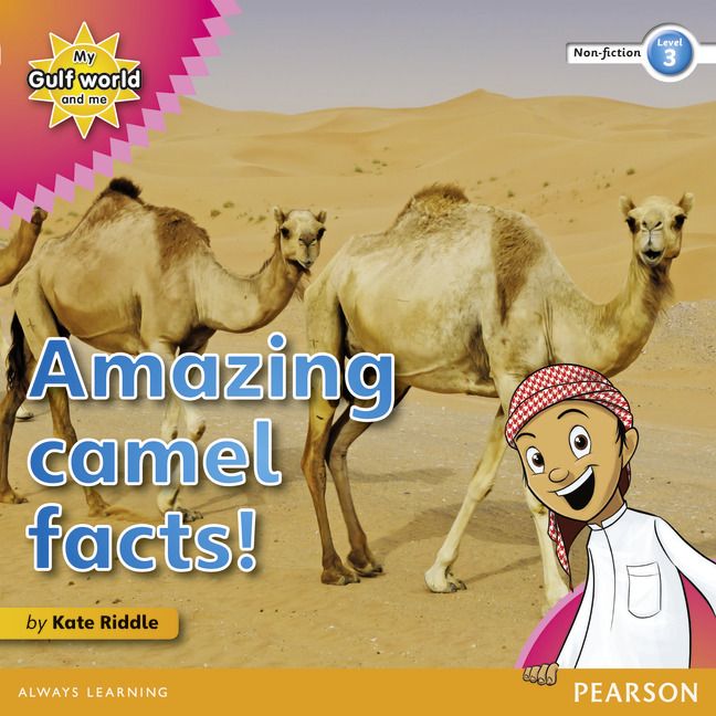 Produktbild: My Gulf World and Me Level 3 non-fiction reader: Amazing camel facts!