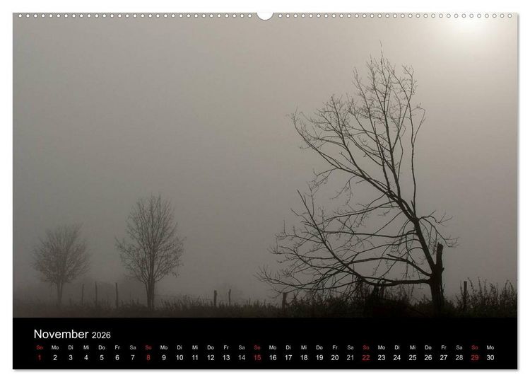 Produktbild: Baumportr&auml;ts 2026 (Wandkalender 2026 DIN A2 quer), CALVENDO Monatskalender