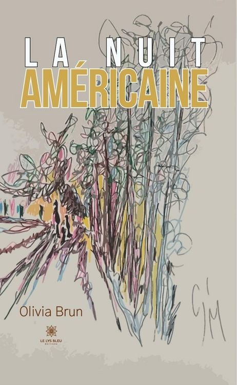Produktbild: La nuit am&eacute;ricaine