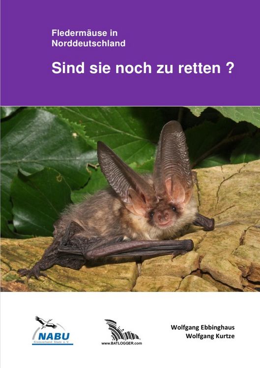 Produktbild: Flederm&auml;use in Norddeutschland