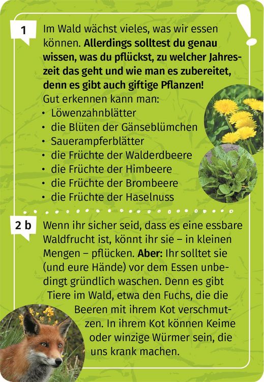 Produktbild: Expedition Natur Mein Wald-Forscherquiz