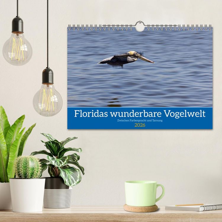 Produktbild: Floridas wunderbare Vogelwelt (Wandkalender 2026 DIN A4 quer), CALVENDO Monatskalender