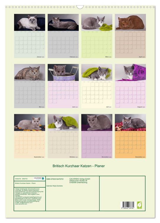 Produktbild: Britisch Kurzhaar Katzen - Planer (Wandkalender 2026 DIN A2 hoch), CALVENDO Monatskalender