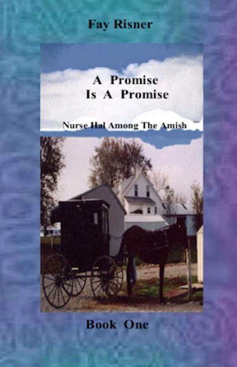 Produktbild: Promise Is A Promise-book 1-Nurse Hal Among The Amish