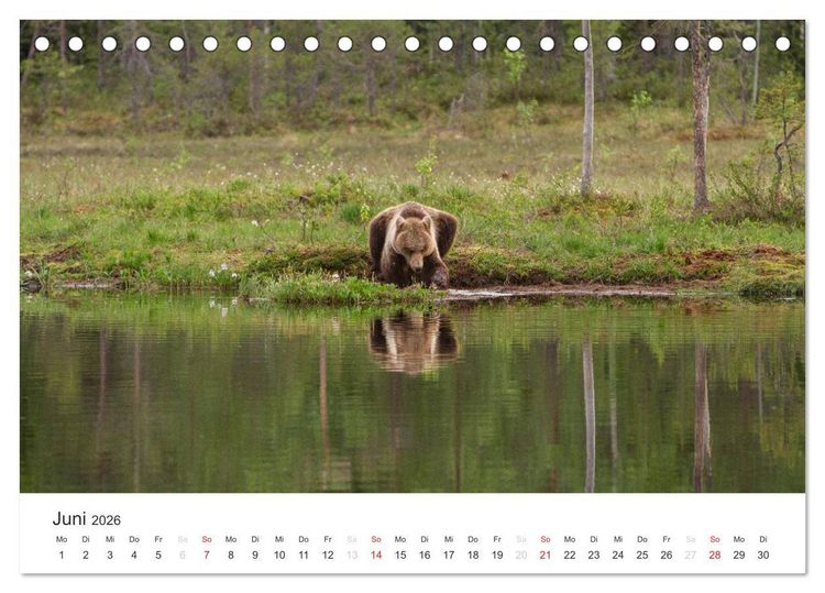 Produktbild: Naturparadies Finnland (Tischkalender 2026 DIN A5 quer), CALVENDO Monatskalender