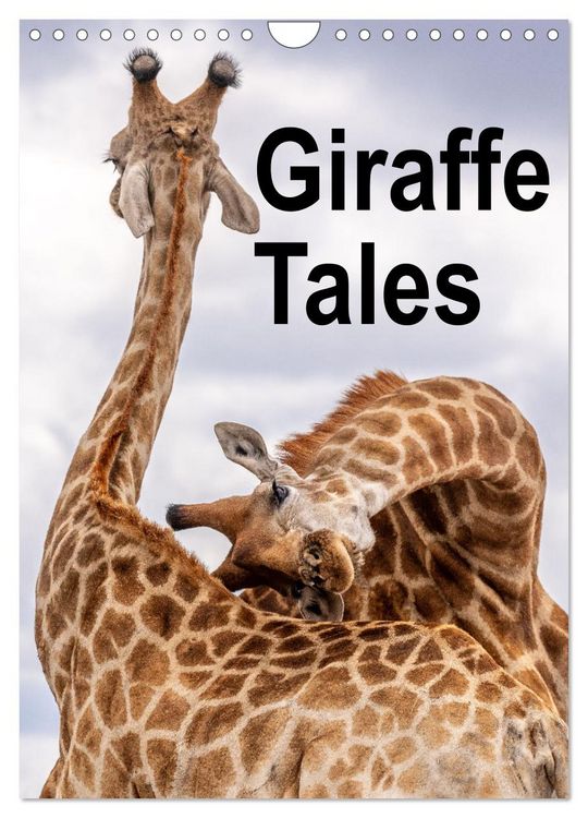 Produktbild: Giraffe Tales (Wall Calendar 2026 DIN A4 portrait), CALVENDO 12 Month Wall Calendar