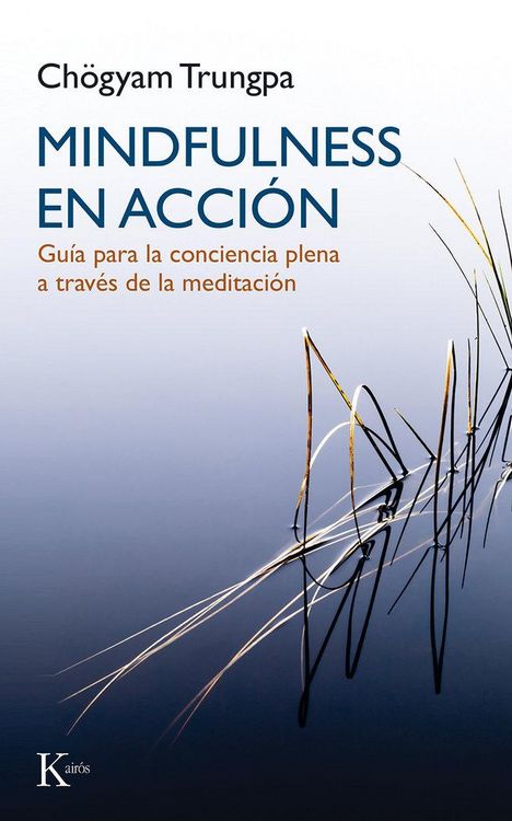 Produktbild: Mindfulness en acci&oacute;n : gu&iacute;a para la conciencia plena a trav&eacute;s de la meditaci&oacute;n