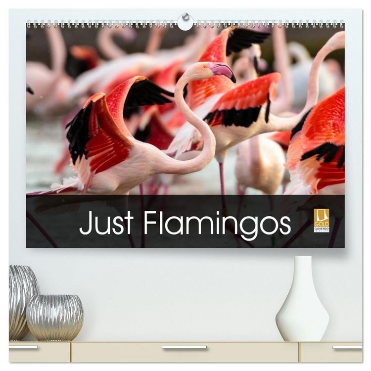 Produktbild: Just Flamingos (High Quality Premium Wall Calendar 2026 DIN A2 landscape),CALVENDO 12 Month Wall Calendar