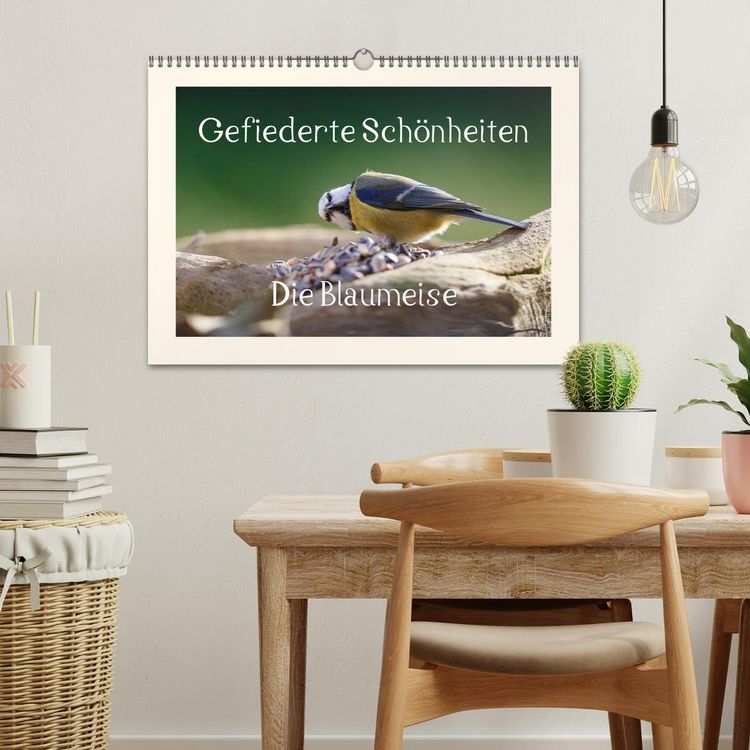 Produktbild: Gefiederte Sch&ouml;nheiten - Die Blaumeise (Wandkalender 2026 DIN A3 quer), CALVENDO Monatskalender