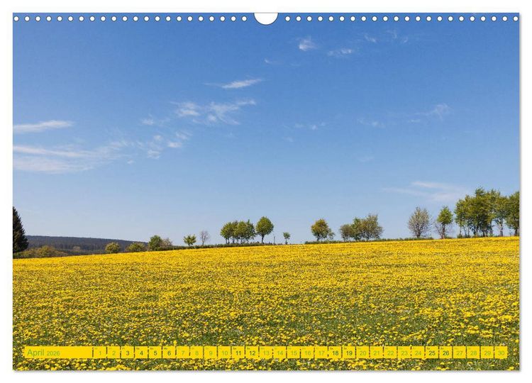 Produktbild: Eifel Sehnsucht (Wandkalender 2026 DIN A3 quer), CALVENDO Monatskalender