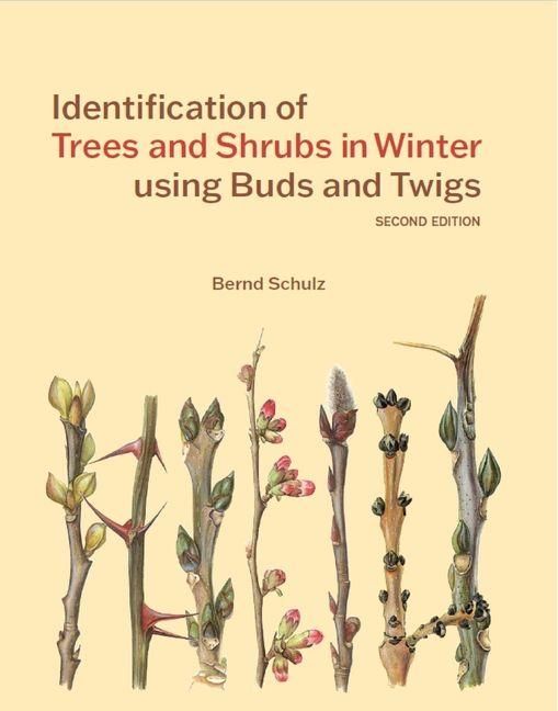 Produktbild: Identification of Trees and Shrubs in Winter using Buds and Twigs