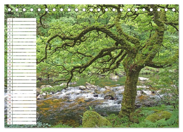 Produktbild: Einsame Natur - Terminkalender (Tischkalender 2026 DIN A5 quer), CALVENDO Monatskalender