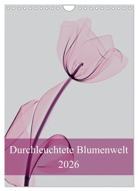 Produktbild: Durchleuchtete Blumenwelt 2026 (Wandkalender 2026 DIN A4 hoch), CALVENDO Monatskalender