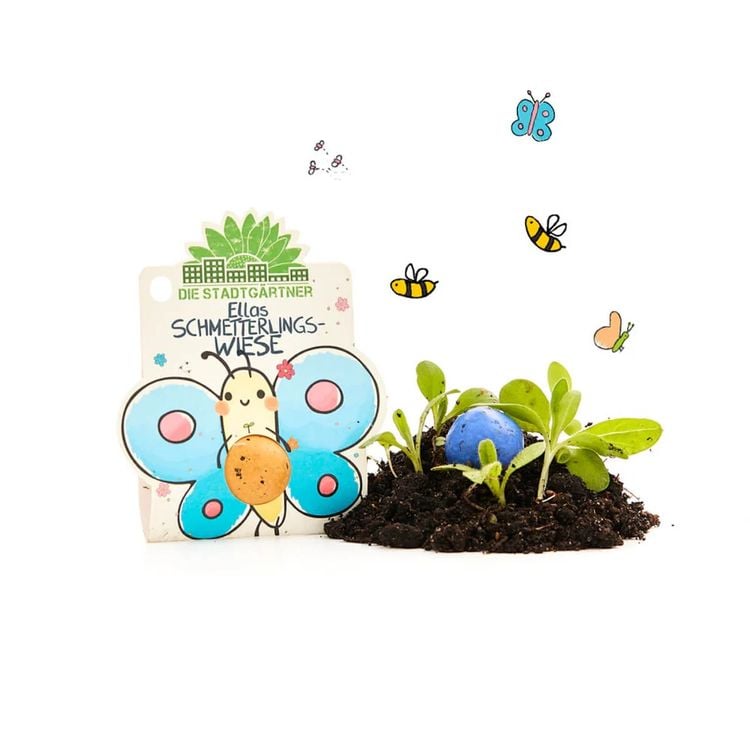 1er Blumenmurmel Ellas Schmetterlingswiese