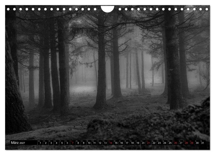 Produktbild: Stille Momente in Schwarz-Weiss (Wandkalender 2027 DIN A4 quer), CALVENDO Monatskalender