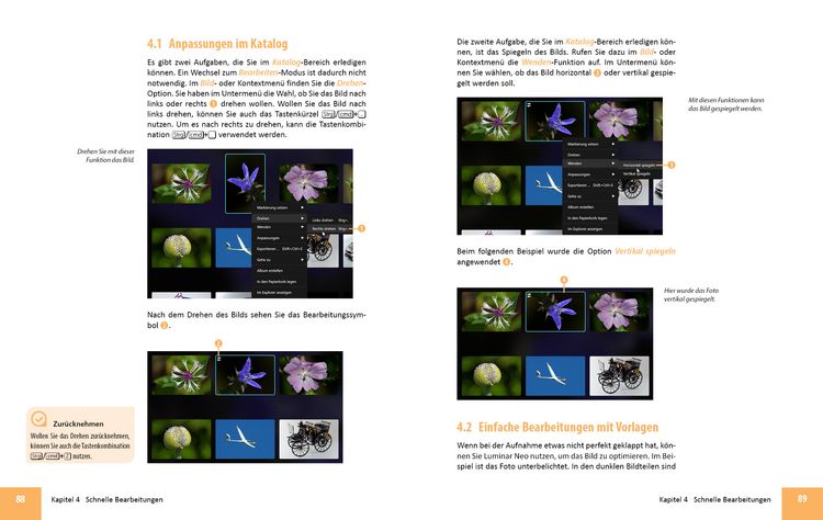 Produktbild: Luminar Neo Erweiterungen - Das umfassende Praxisbuch!