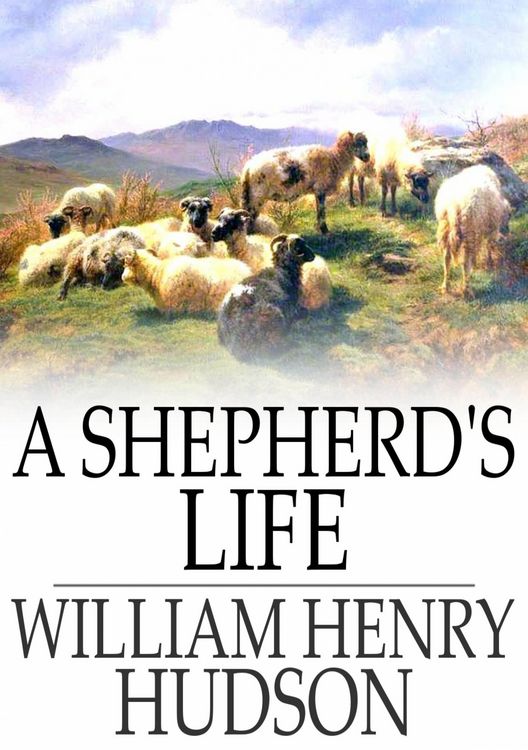 Produktbild: Shepherd's Life