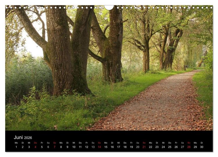Produktbild: Bi &uuml;s im kl&auml;na L&auml;ndle - Vorarlberg 2026 (Wandkalender 2026 DIN A3 quer), CALVENDO Monatskalender