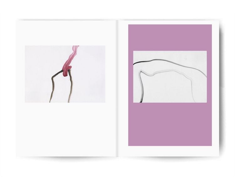 Produktbild: The red that longs to soften into rose