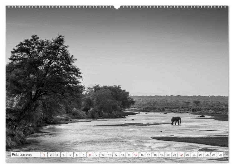 Produktbild: Emotionale Momente: Elefanten in black & white (hochwertiger Premium Wandkalender 2026 DIN A2 quer), Kunstdruck in Hochglanz