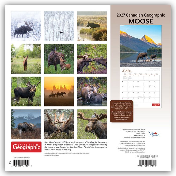Produktbild: Moose &ndash; Elche 2027 &ndash; 16-Monatskalender