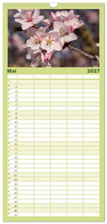 Produktbild: Familienplaner 2027 - Fr&uuml;hlingsbl&uuml;her - Farbenpracht nach dem Winter mit 5 Spalten (Wandkalender, 21 x 45 cm) CALVENDO