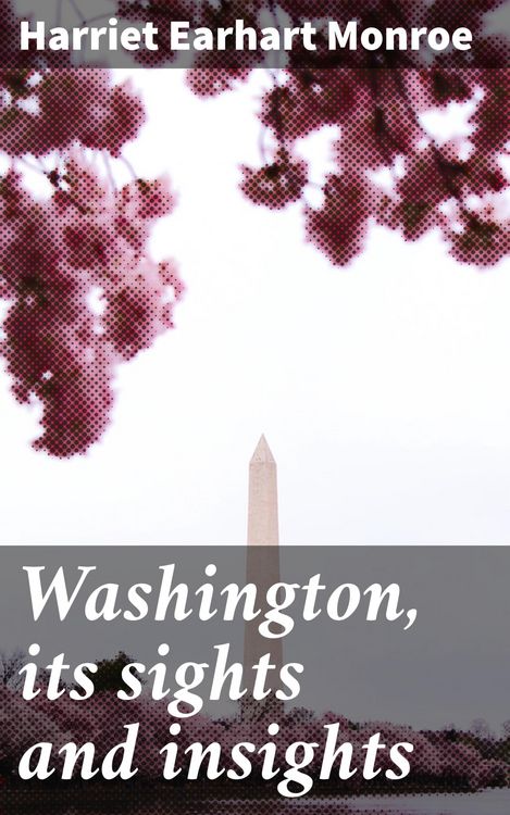 Produktbild: Washington, its sights and insights