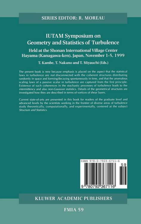 Produktbild: IUTAM Symposium on Geometry and Statistics of Turbulence