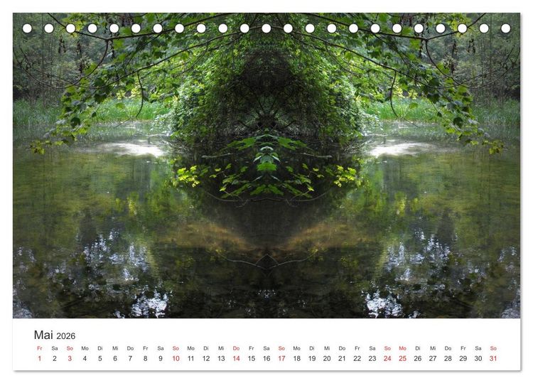 Produktbild: Spiegelwelten - Natur anders sehen (Tischkalender 2026 DIN A5 quer), CALVENDO Monatskalender