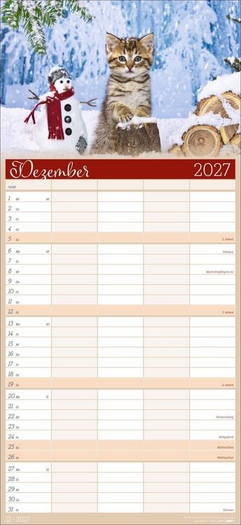 Produktbild: Cool Cats Familienplaner 2027