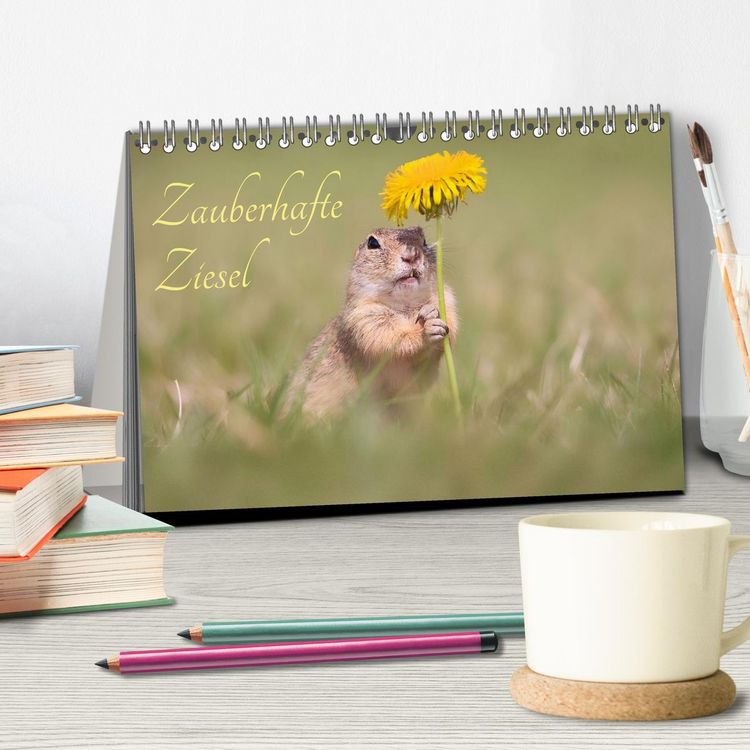 Produktbild: Zauberhafte Ziesel (Tischkalender 2026 DIN A5 quer), CALVENDO Monatskalender