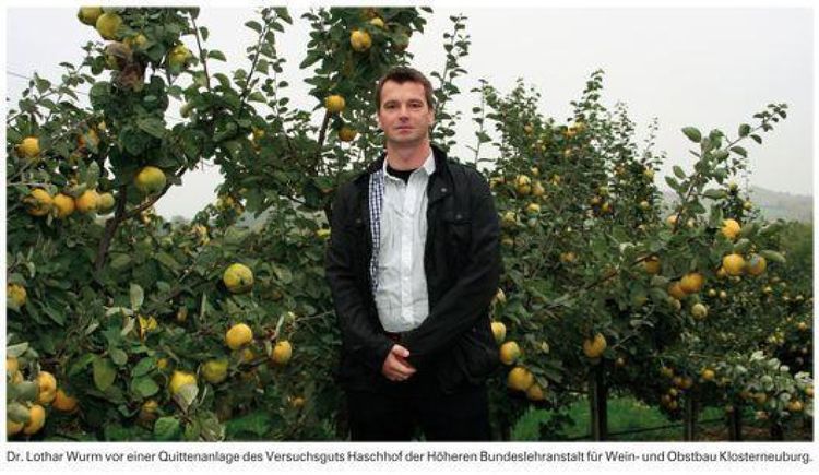 Produktbild: Obst nat&uuml;rlich anbauen