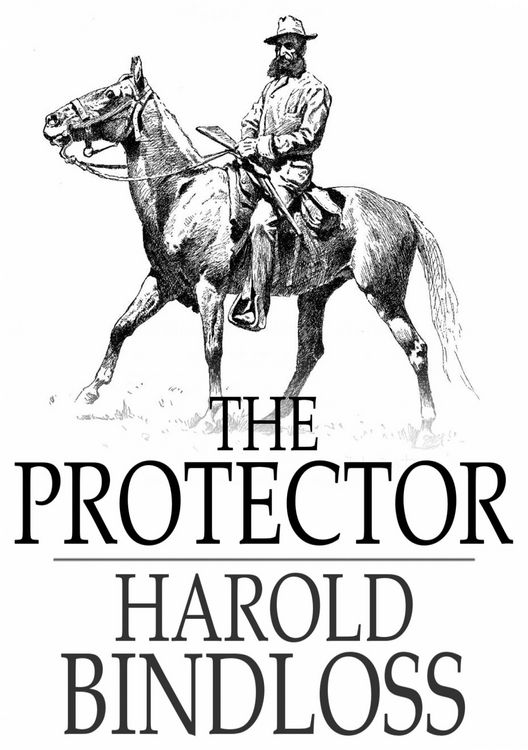 Produktbild: Protector