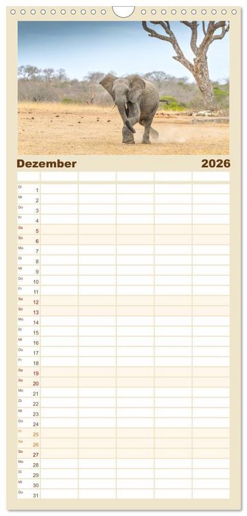 Produktbild: Familienplaner 2026 - Babyelefanten mit 5 Spalten (Wandkalender, 21 x 45 cm) CALVENDO