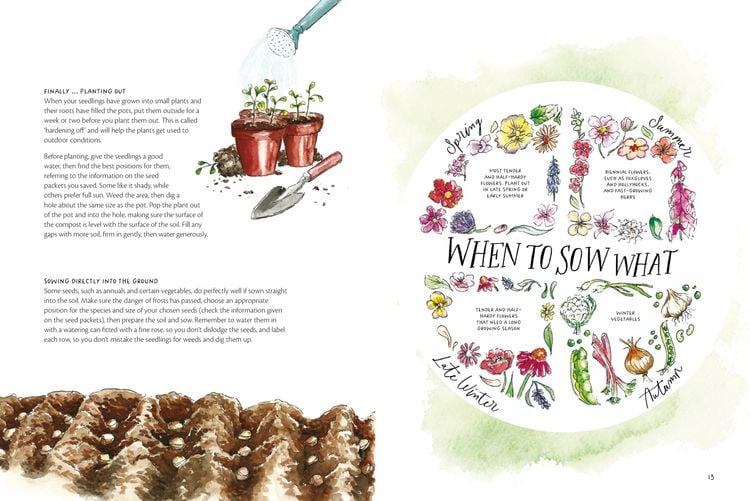 Produktbild: The Magic of Seeds