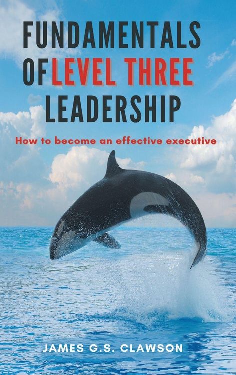 Produktbild: Fundamentals of Level Three Leadership