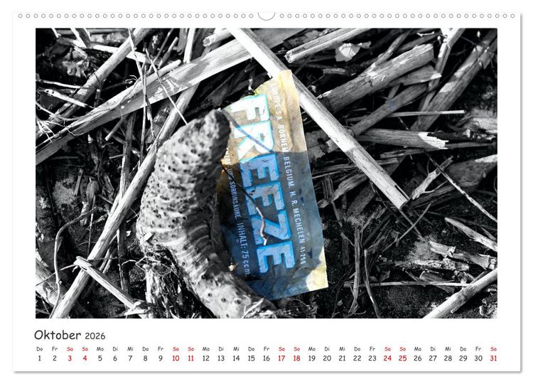 Produktbild: Gestrandet -Treibgut- (Wandkalender 2026 DIN A2 quer), CALVENDO Monatskalender
