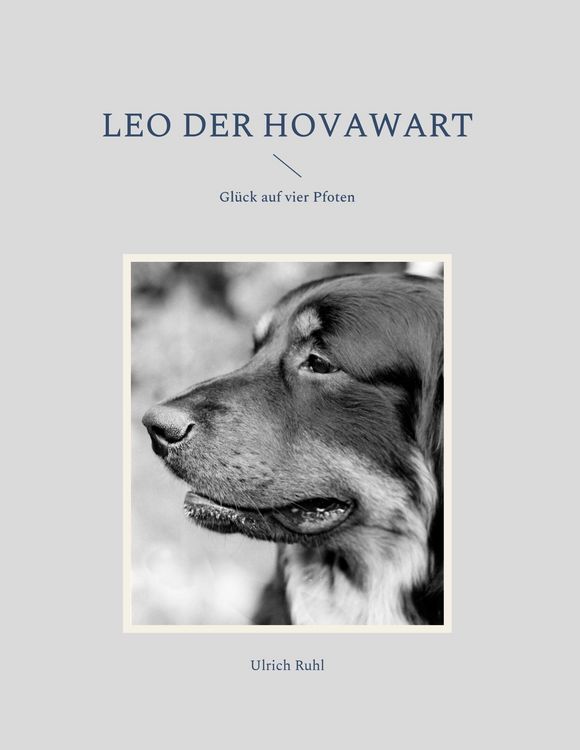 Produktbild: Leo der Hovawart