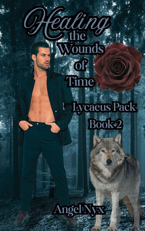 Produktbild: Healing the Wounds of Time: Lycaeus Pack Book 2