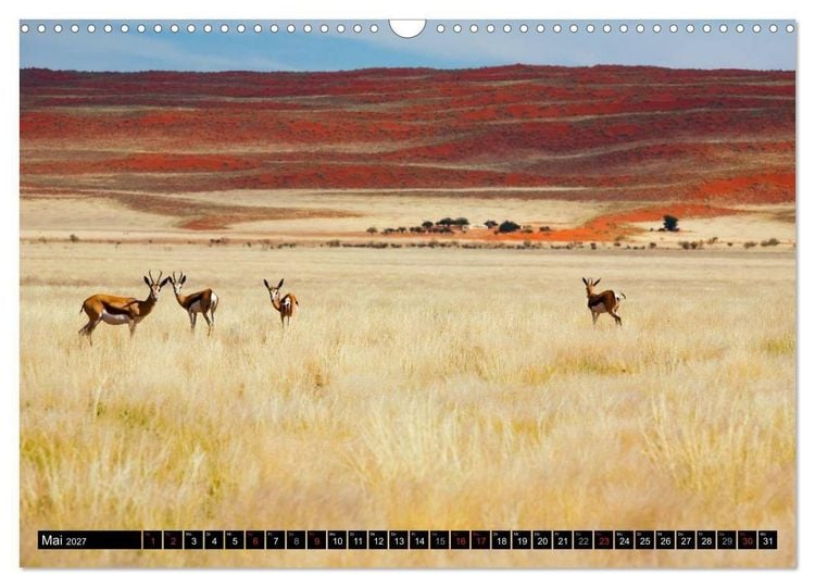 Produktbild: Namib Naukluft Nationalpark. NAMIBIA 2027 (Wandkalender 2027 DIN A3 quer), CALVENDO Monatskalender