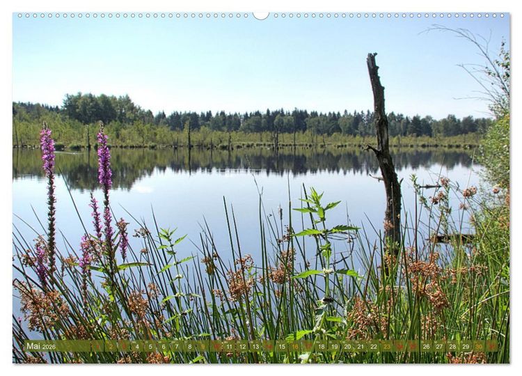 Produktbild: Das Regenmoor auf der Baar (Wandkalender 2026 DIN A2 quer), CALVENDO Monatskalender