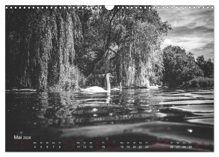 Produktbild: FREIWASSERLUST (Wandkalender 2026 DIN A3 quer), CALVENDO Monatskalender