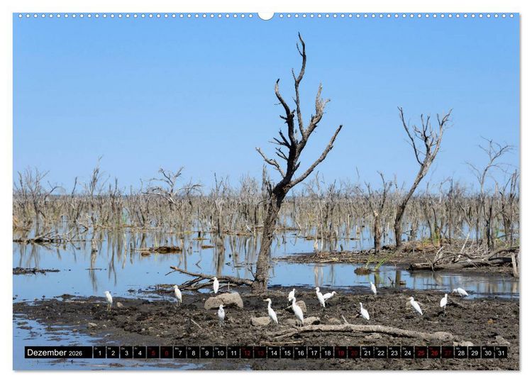Produktbild: Faszination Botswana (hochwertiger Premium Wandkalender 2026 DIN A2 quer), Kunstdruck in Hochglanz